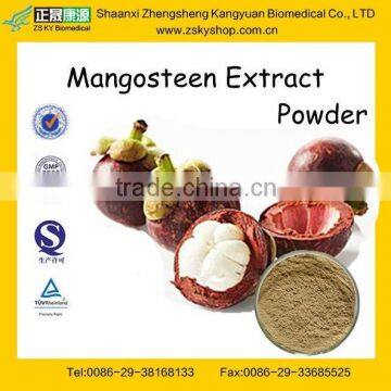 High Quality Mangosteen Extract Powder From Assessment Supplier