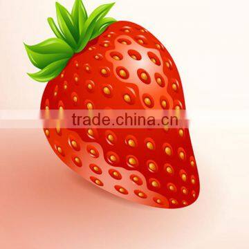 healthy and delicious strawberry chocolate snack food62