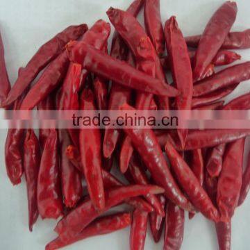 2015 new crop Exported hot spicy dried red sanying chili