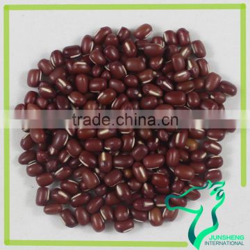 Jewelry Red Color Adzuki Beans