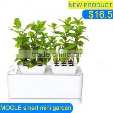 blue ceramic outdoor pots