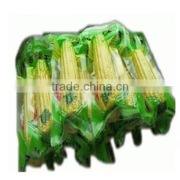 high efficiency and professional single chamber vacuum packing machine