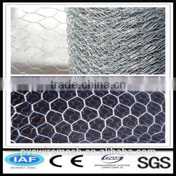 Top Supplier Gabion Wire Mesh/Hexagonal Wire Netting photo-6