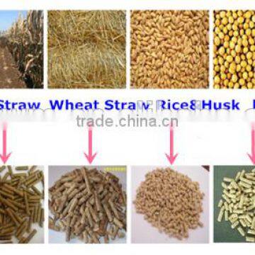 Hot Sale Animal Feed Flat Die Pellet Mill 800kg/hour photo-4