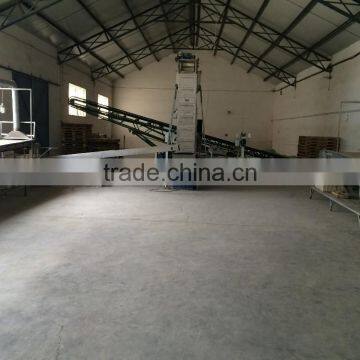 Peanut CCD Color Sorting Line photo-4