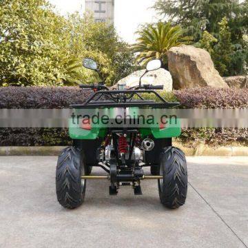 Jinling JLA-08-03 Automatic Chain Drive Air Cooled Green Cheap Price 49cc Mini Quad Bike for Sale photo-5