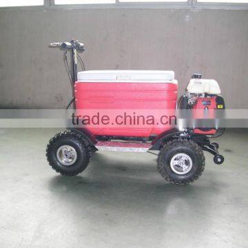 Popular Gas Cooler Scooter 43CC SX-G110 photo-5