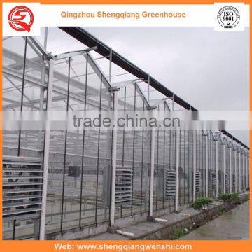 High Quality 12m Multi-span Glass Greenhouse Grow Tent for Vegetables photo-3