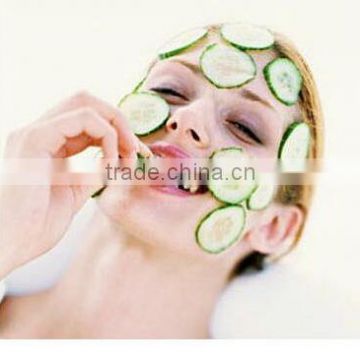 CY126 Mini Sharpener Shaped Beauty Mask Cucumber Slicer