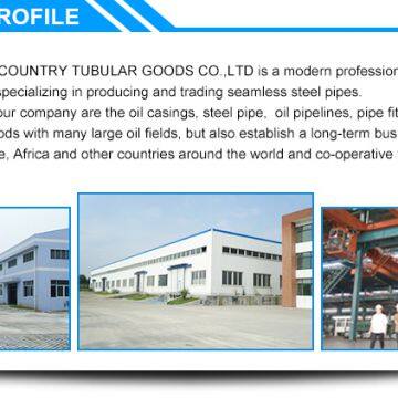 Tianjin Dalipu Oil Country Tubular Goods Co., Ltd company overview - view 2