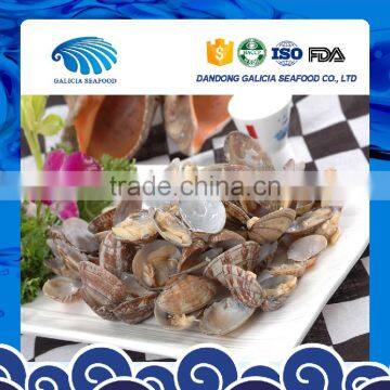 Fresh Frozen Variegated Clam Shell-On