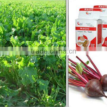 High Quality Instant Dry Yeast photo-4