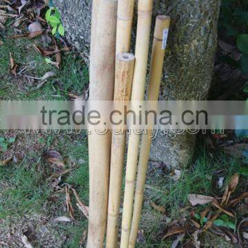 Decorative Short Bamboo Canes photo-4