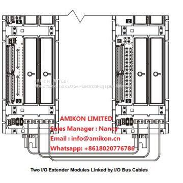 TRICONEX 9674-810