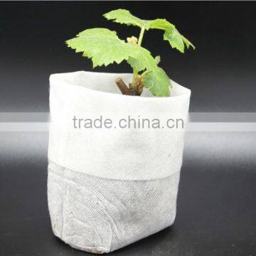 PP Non-woven Fabric,PP Spunbond Nonwoven,TNT Nonwoven Fabric photo-2
