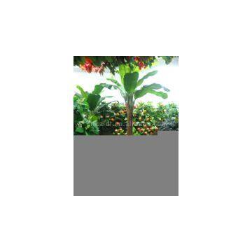 Sell Single And Bush Artificial Banana Tree And Other Tree