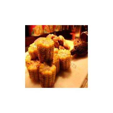 110VAmerican Eletric Corn Boiler 220V Europe Hot Sale Stainless Steel Potato Boiling Steamer Machine Factory Sweet Potato Food Warmer photo-3