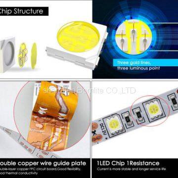 Addressable RGBW LED Strip Light led Rope IP20 IP65 IP68