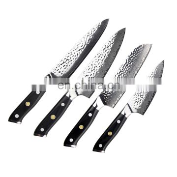 High Carbon Japanese 67 Layers VG-10 Damascus Kitchen Knife Set