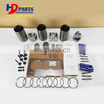 Diesel Engine Parts D1005 Engine Repair Kit