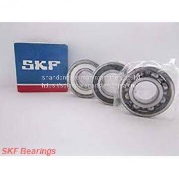 SKF Bearings