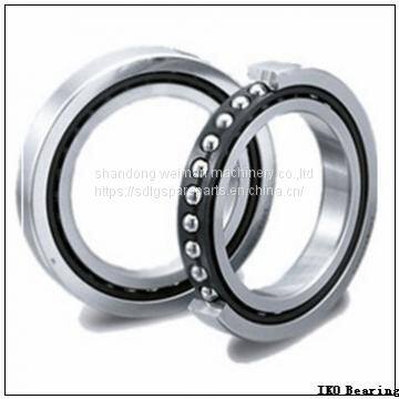 IKO Bearing