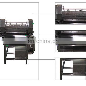 Food Grade Stainless Steel Fresh Fruit Washer Machine/fresh Root Vegetables Washing Machine photo-3