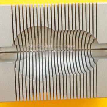 Brain matrix 175-300g coronal slices 1mm pitch