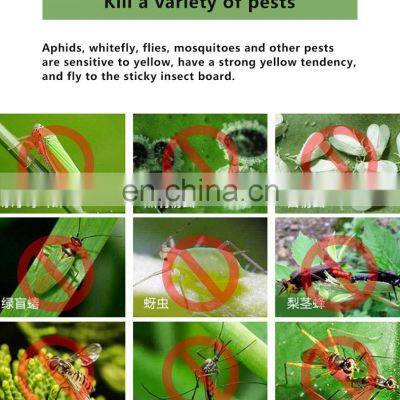 Outdoor Disposable Portable Fruit Flies Sticky Trap Butterfly Insect Control Hang Fruit Fly Glue Traps Board