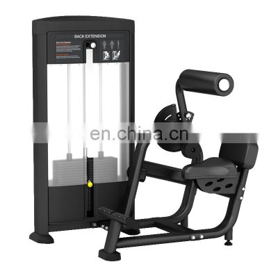 Pin Loaded Fitness Equipment Home Gym Exercise Machine Back Extension