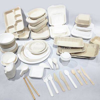 Biodegradable Sugarcane Bagasse Pulp Tableware photo-5