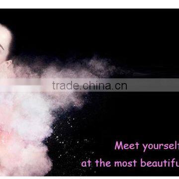 Aluminum Retractable Loose Powder Makeup Brushes photo-6