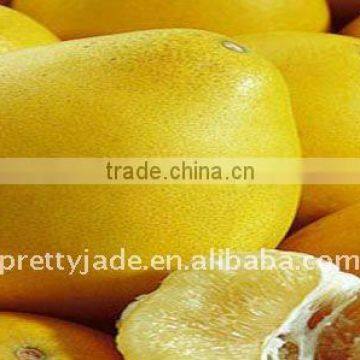 Hot sale Fresh honey pomelo from China