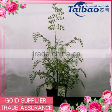 Factory wholesale new material plastic adiantum indoor garden decoration