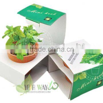 Degradable pot mini flower