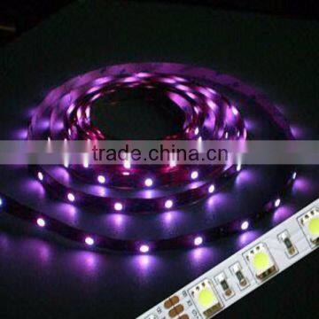 CE&ROHS certification NONwaterproof 3528 SMD flexible Led strip lighting