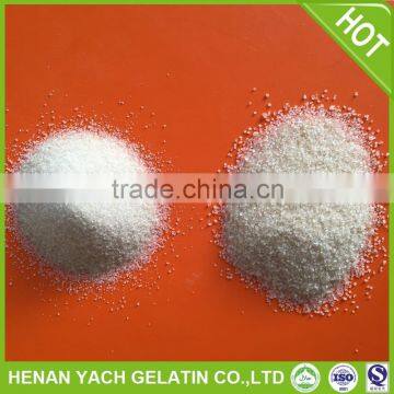 Professional 150 bloom fish skin gelatin with Halal certificate