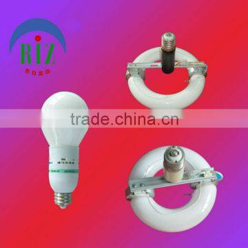 induction lamp with the base E40