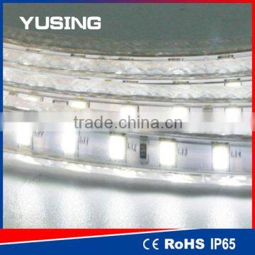 Hot Sale High Brightness 110V 220V LED Strip 5630 Wholesale