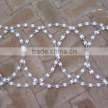 Cheap Galvanized Razor Wire Razor Barbed Wire With Clips photo-5
