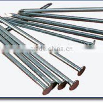 Wire Common Nails,Manufacturer,