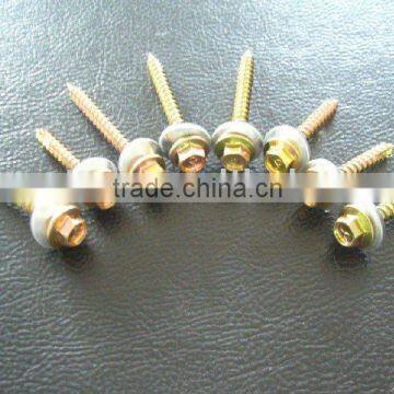 Self Drilling Screw (DIN7504K)