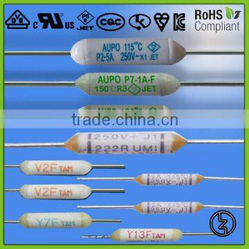 ceramic thermal fuse