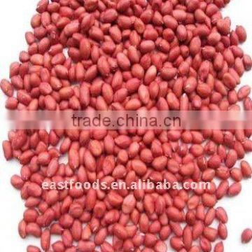 supplying chinese red skin peanut kernels