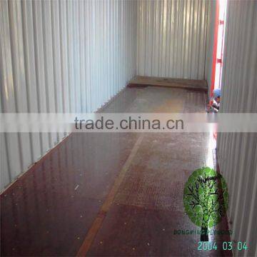 Office Container Container Flooring Plywood photo-5