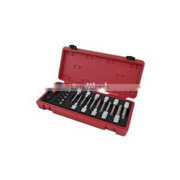 23PC Ribi Socket Bit Set