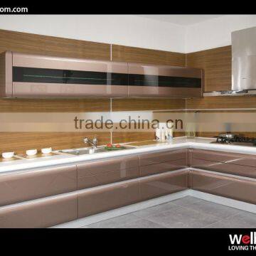 Readymade Painting Kitchen Cabinets in Modern Style