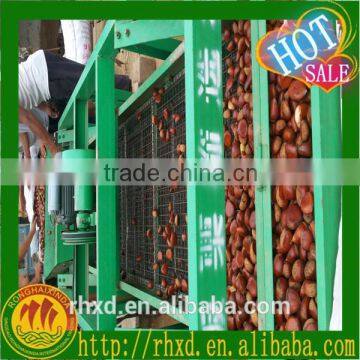 2015 health food tianjin roasted chestnutsvacuum packed roasted chestnuts/fresh hazelnuts