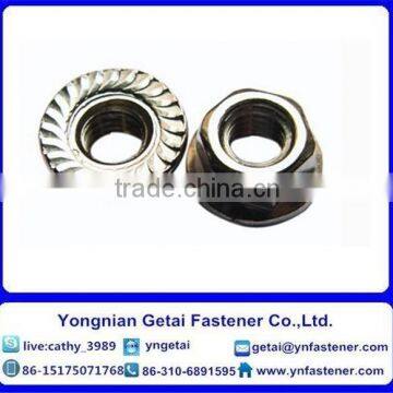 Stainless Steel 201/202/304/316 Hexagon Flange Nuts DIN 6923 photo-5