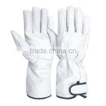 driver gloves, Goat Skin Grain Leather Gloves